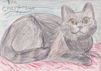 Requires Flash - Desktop Only